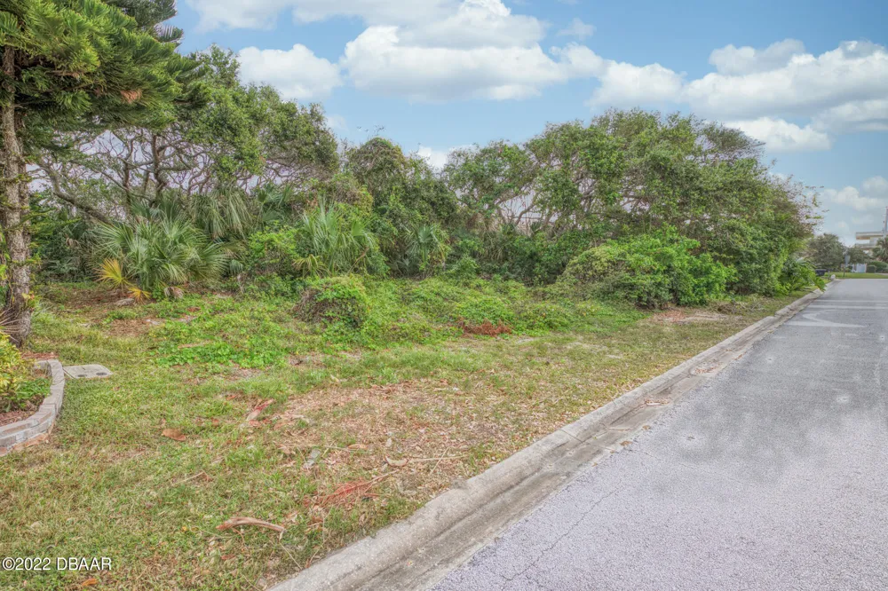 62 Buschman Drive Ponce Inlet, FL 32127