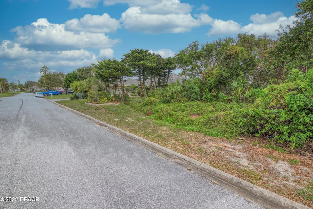 62 Buschman Drive Ponce Inlet, FL 32127