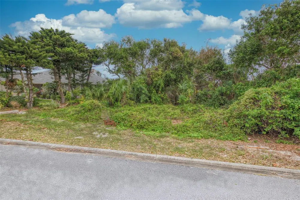 62 BUSCHMAN DRIVE Ponce Inlet, FL 32127