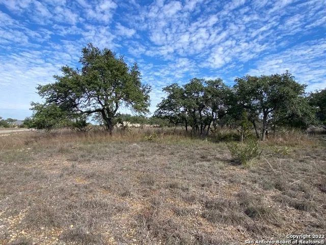 0 John Price Blanco, TX 78133