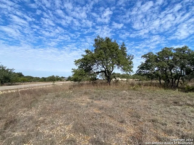 0 John Price Blanco, TX 78133