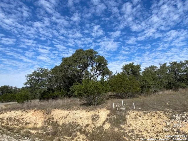 0 John Price Blanco, TX 78133