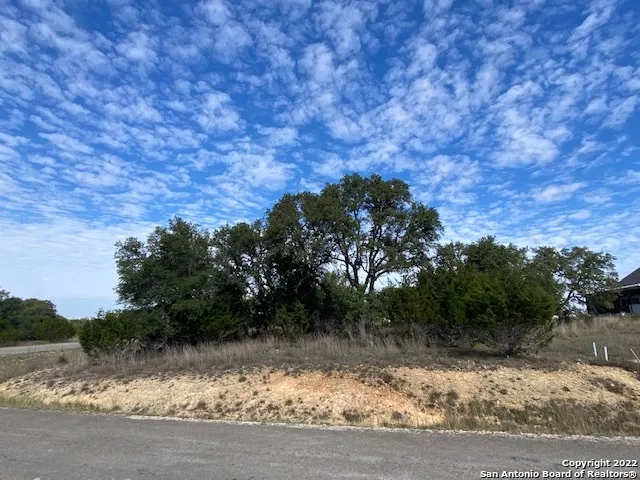 0 John Price Blanco, TX 78133
