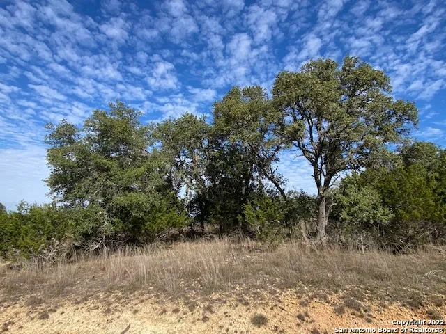 0 John Price Blanco, TX 78133