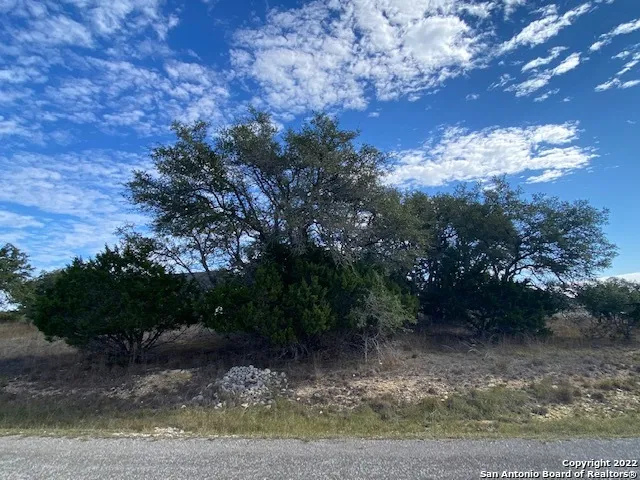 0 John Price Blanco, TX 78133
