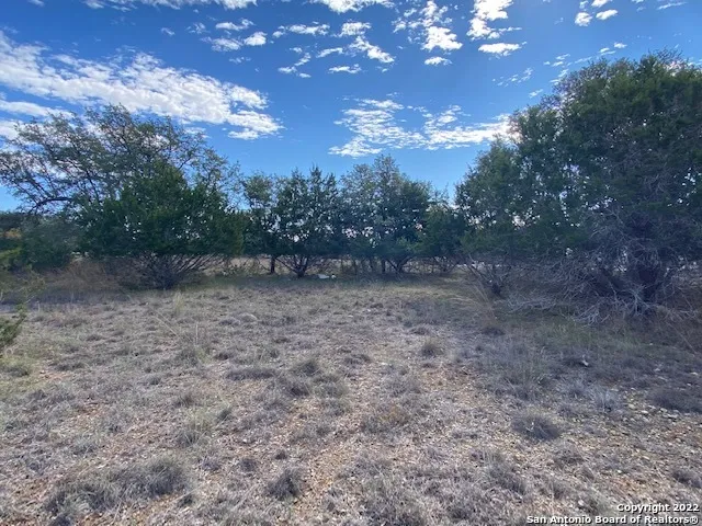 0 John Price Blanco, TX 78133