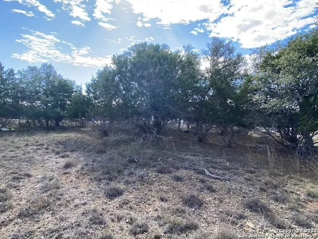 0 John Price Blanco, TX 78133