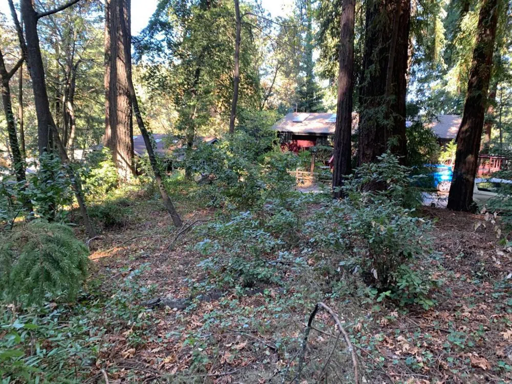 Santa Ana Road Los Gatos, CA 95033