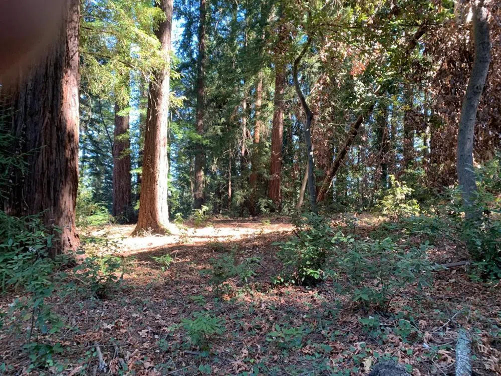 Santa Ana Road Los Gatos, CA 95033