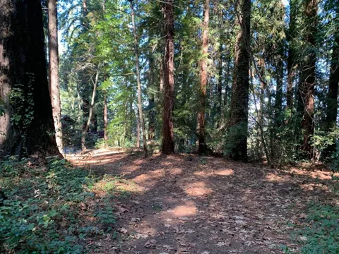 Santa Ana Road