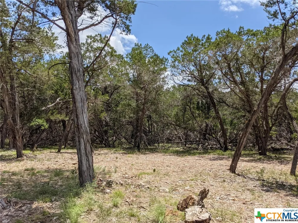 52 Clearwater Canyon Road Bandera, TX 78003