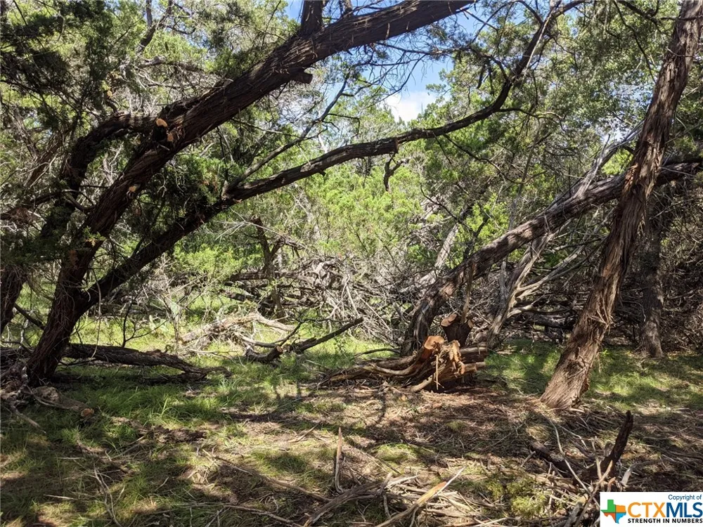52 Clearwater Canyon Road Bandera, TX 78003