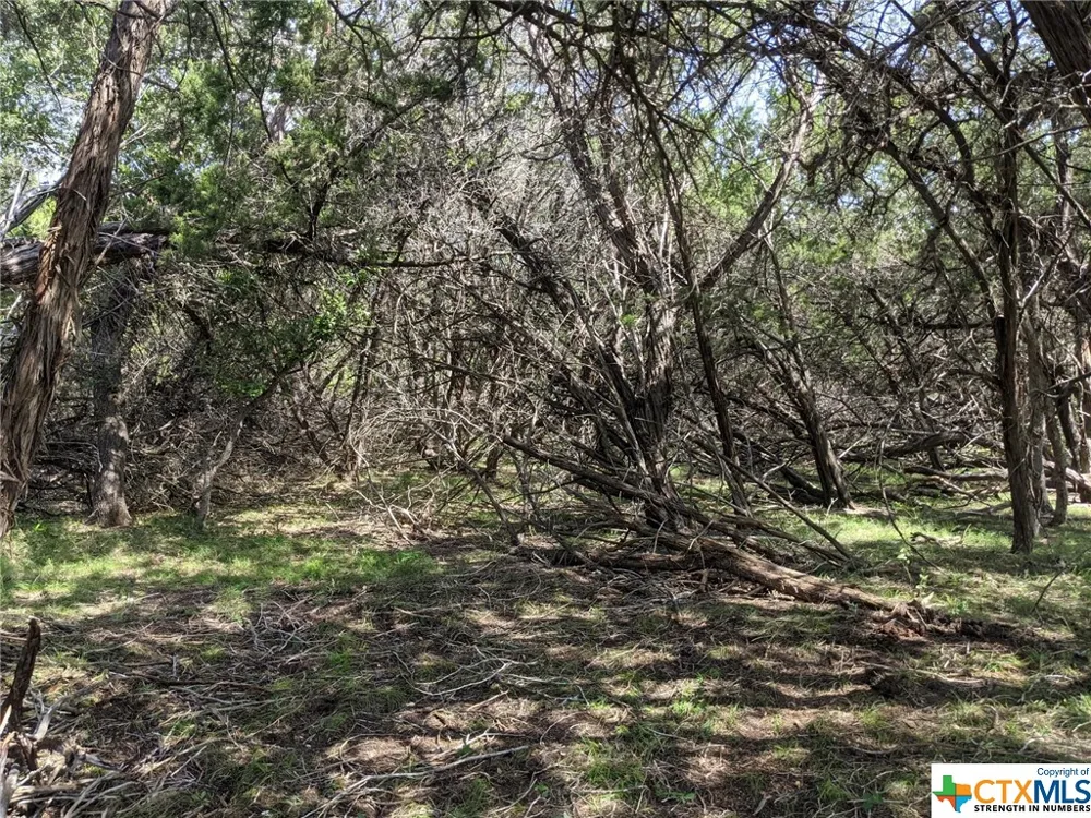 52 Clearwater Canyon Road Bandera, TX 78003