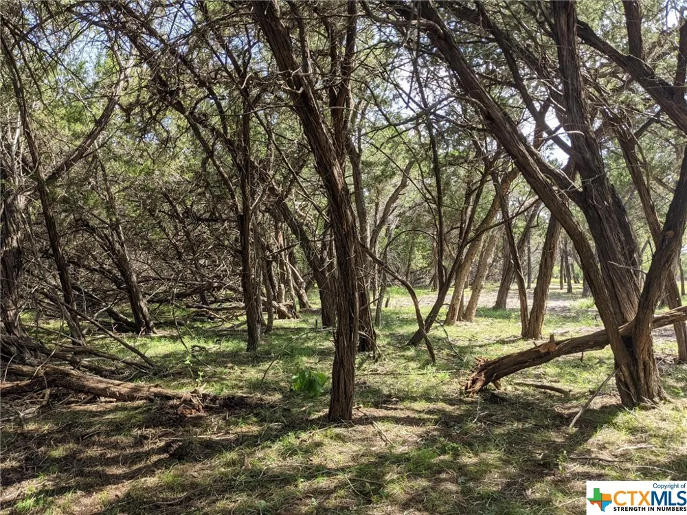 52 Clearwater Canyon Road Bandera, TX 78003