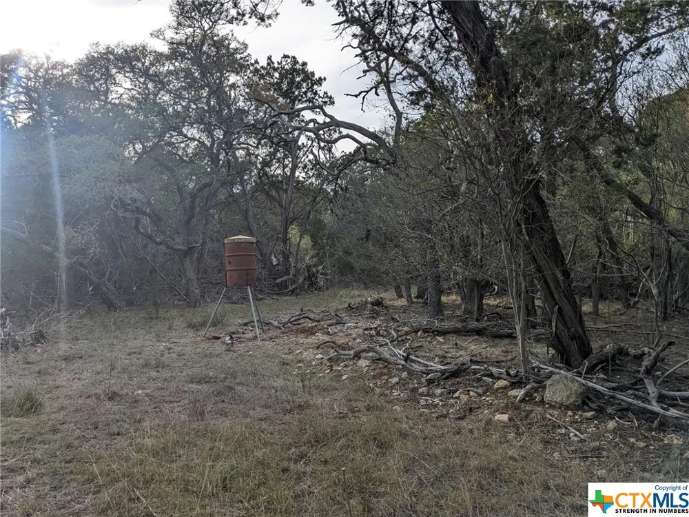 52 Clearwater Canyon Road Bandera, TX 78003