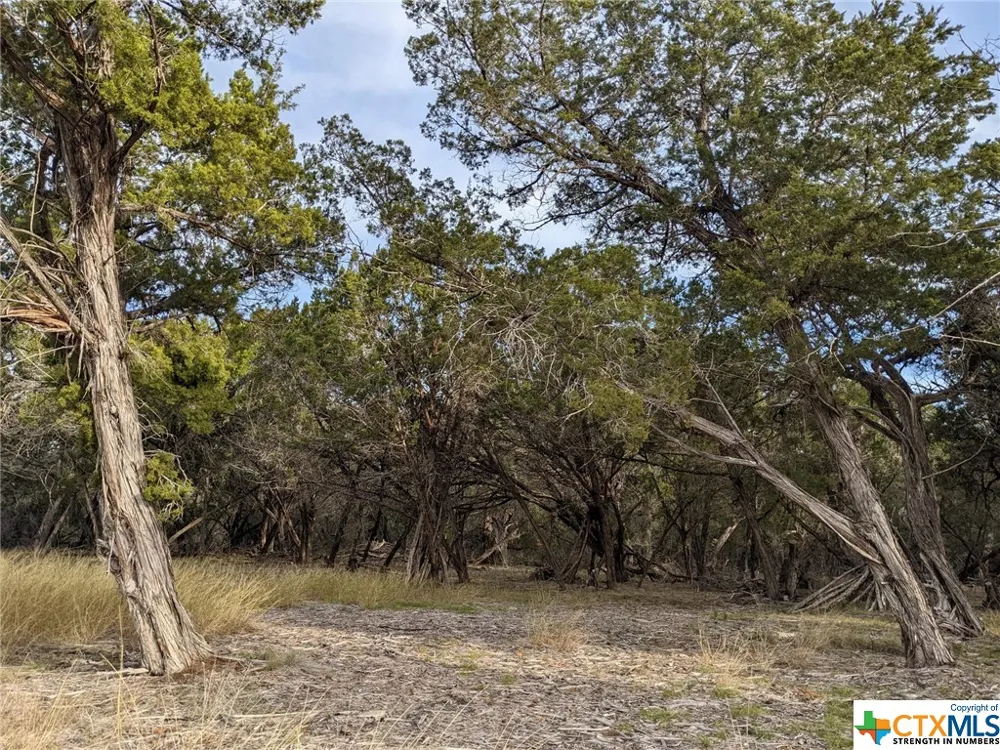 52 Clearwater Canyon Road Bandera, TX 78003