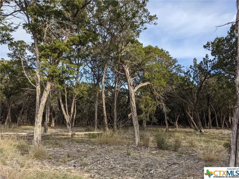 52 Clearwater Canyon Road Bandera, TX 78003
