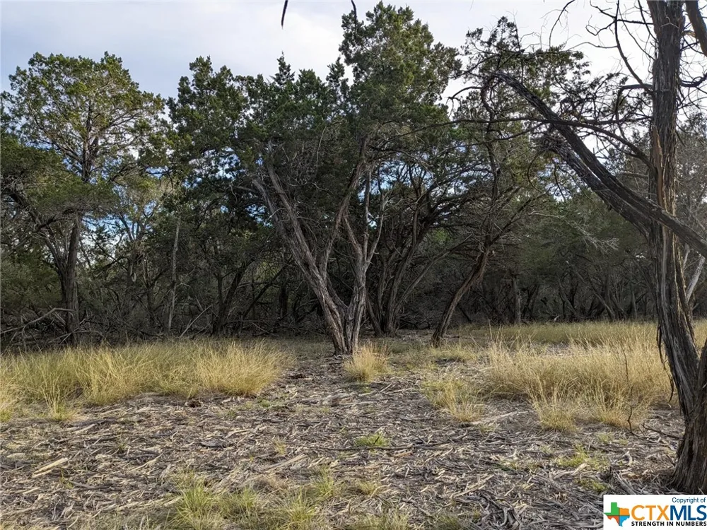 52 Clearwater Canyon Road Bandera, TX 78003