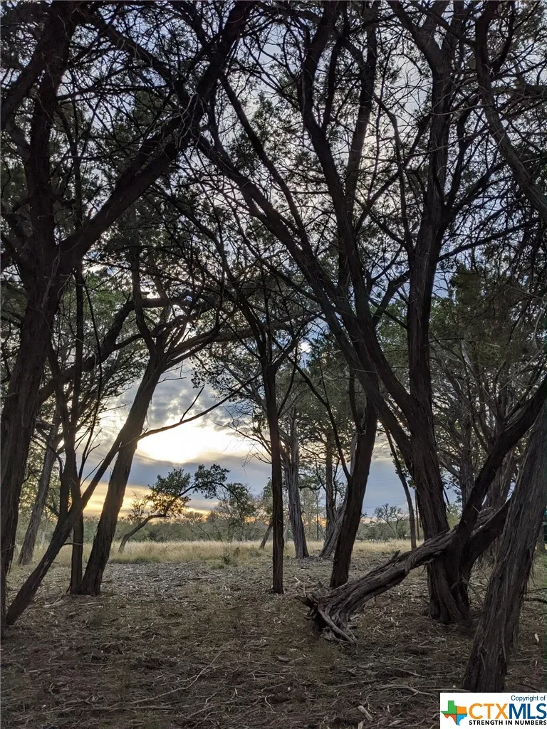 52 Clearwater Canyon Road Bandera, TX 78003