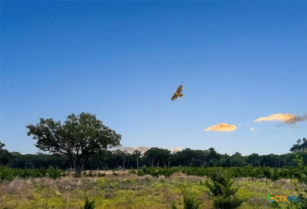 52 Clearwater Canyon Road Bandera, TX 78003