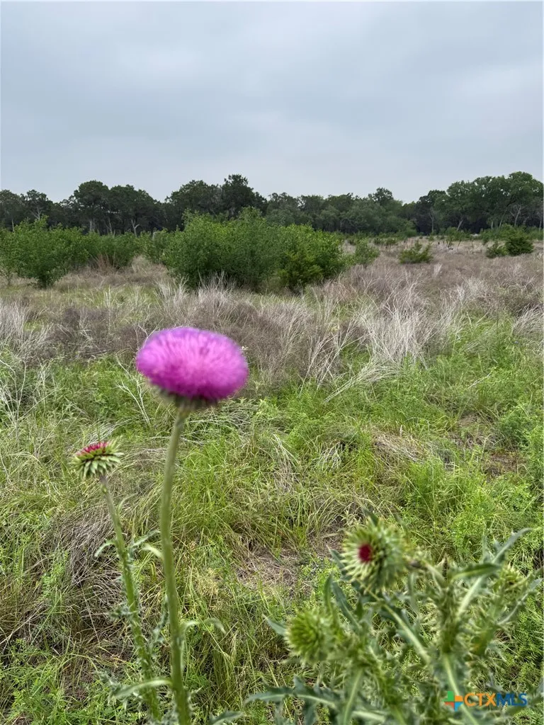 52 Clearwater Canyon Road Bandera, TX 78003