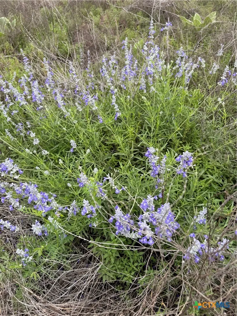 52 Clearwater Canyon Road Bandera, TX 78003