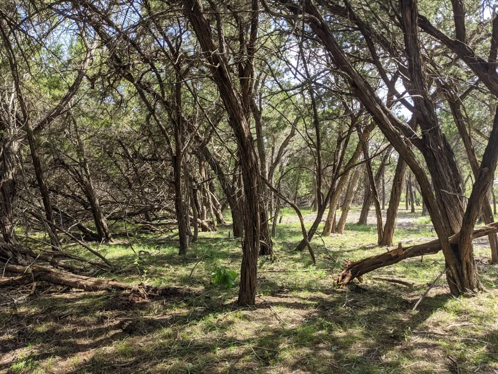 52 Clearwater Canyon Road Bandera, TX 78003