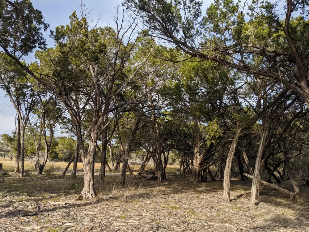 52 Clearwater Canyon Road Bandera, TX 78003