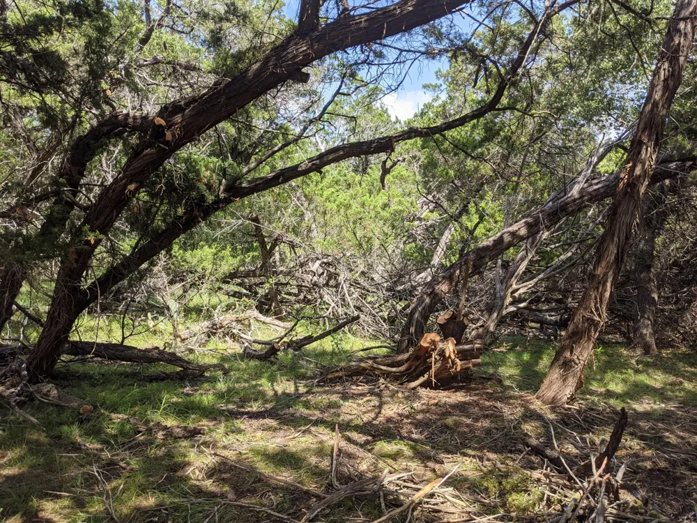 52 Clearwater Canyon Road Bandera, TX 78003