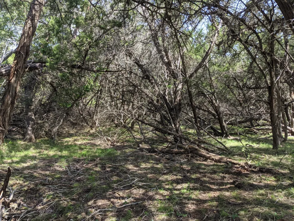 52 Clearwater Canyon Road Bandera, TX 78003