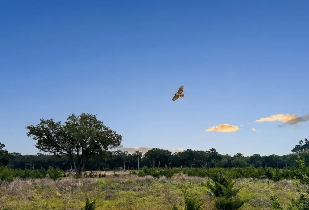 52 Clearwater Canyon Road Bandera, TX 78003