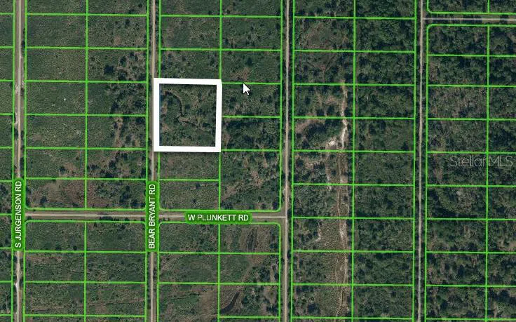 1859 BEAR BRYANT ROAD Avon Park, FL 33825