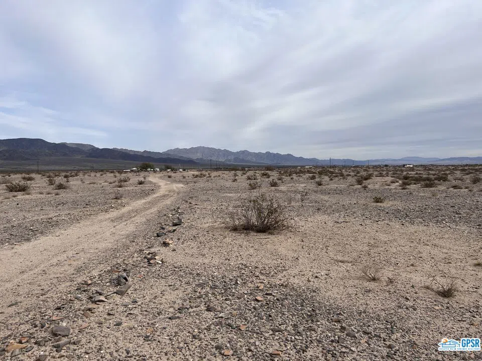 Shelton Twentynine Palms, CA 92277