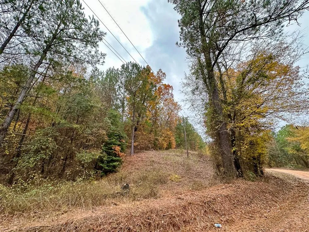 CR 1651 Avinger, TX 75630
