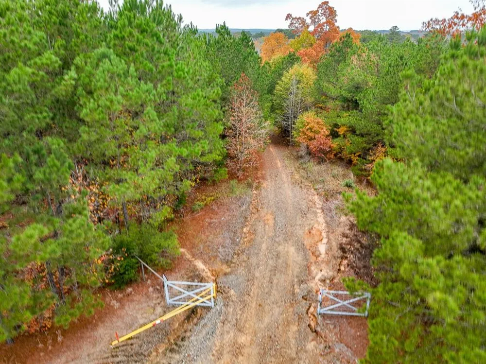 CR 1651 Avinger, TX 75630