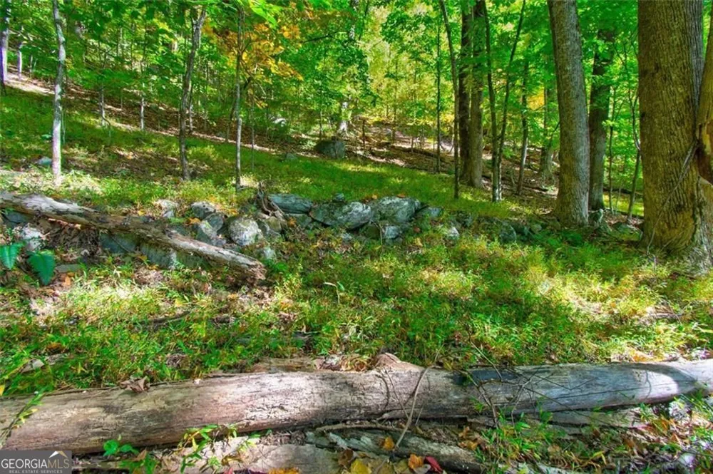 228 Stone Cliff TRCE Cleveland, GA 30528