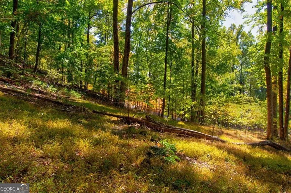 228 Stone Cliff TRCE Cleveland, GA 30528