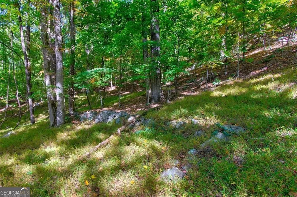 228 Stone Cliff TRCE Cleveland, GA 30528