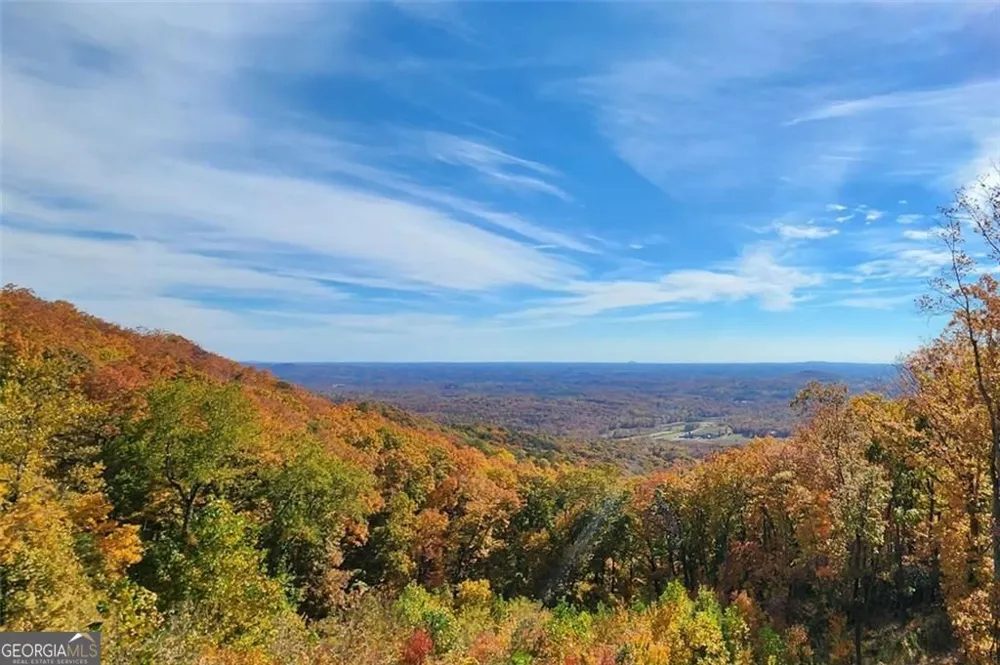 228 Stone Cliff TRCE Cleveland, GA 30528