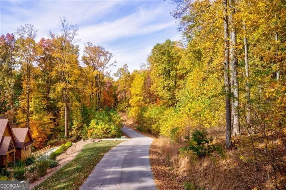 228 Stone Cliff TRCE Cleveland, GA 30528