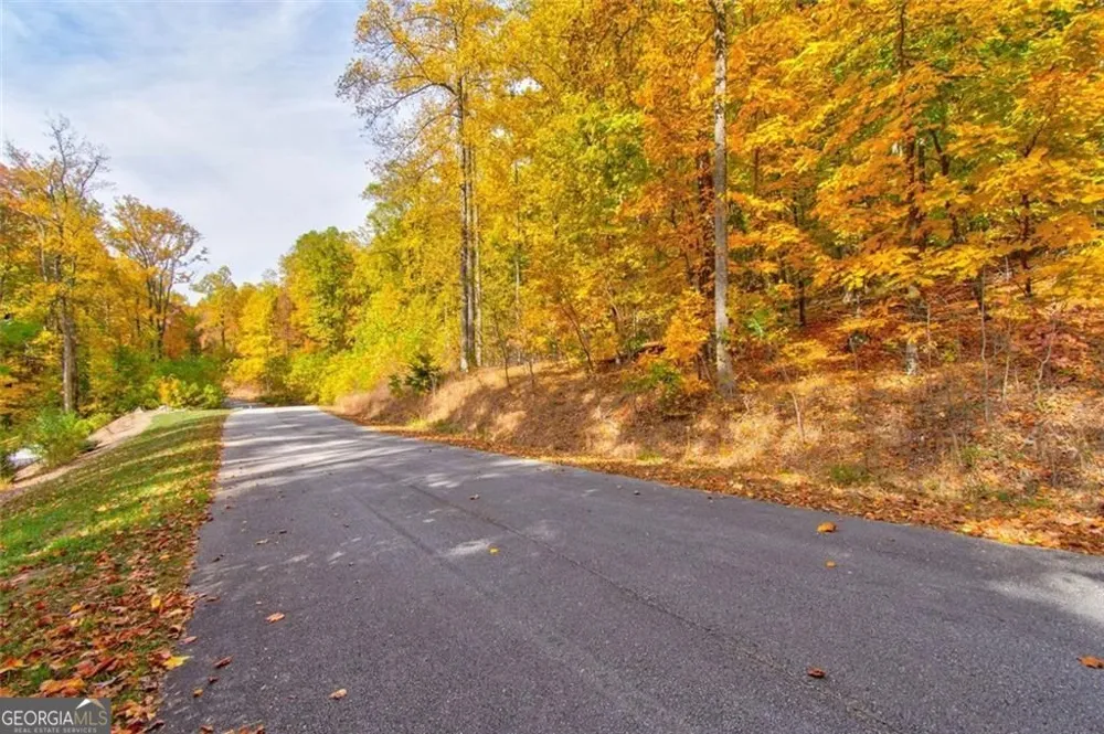 228 Stone Cliff TRCE Cleveland, GA 30528