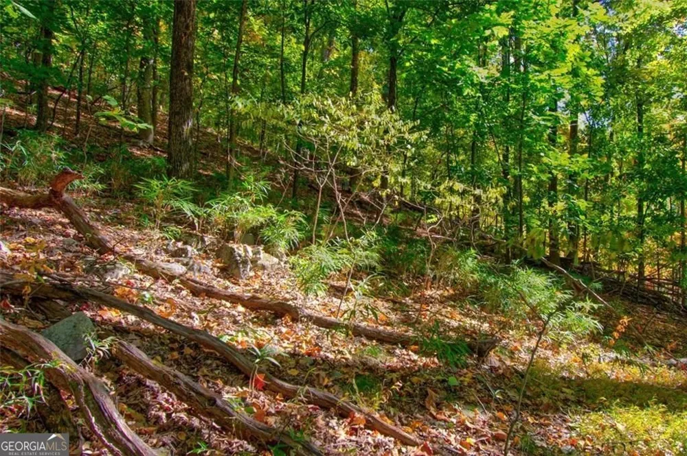 228 Stone Cliff TRCE Cleveland, GA 30528