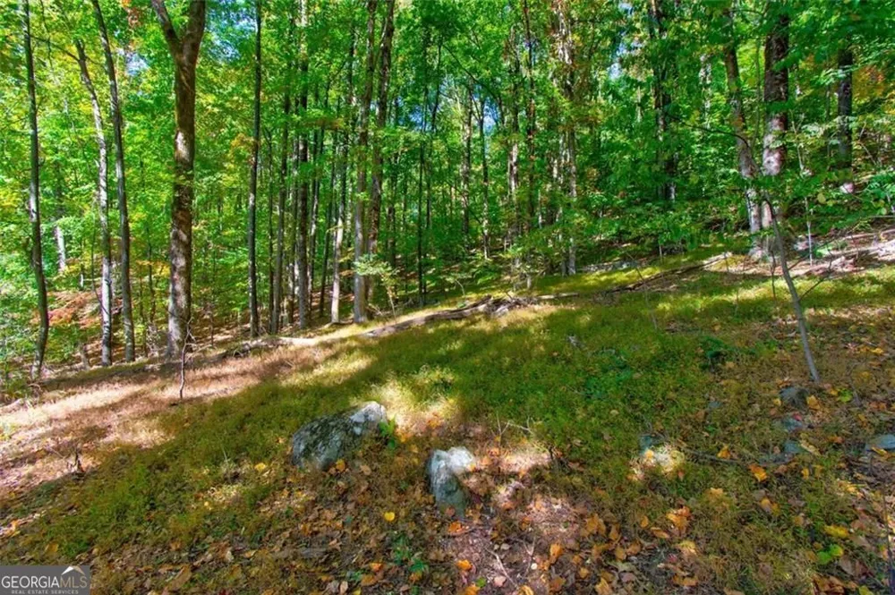 228 Stone Cliff TRCE Cleveland, GA 30528