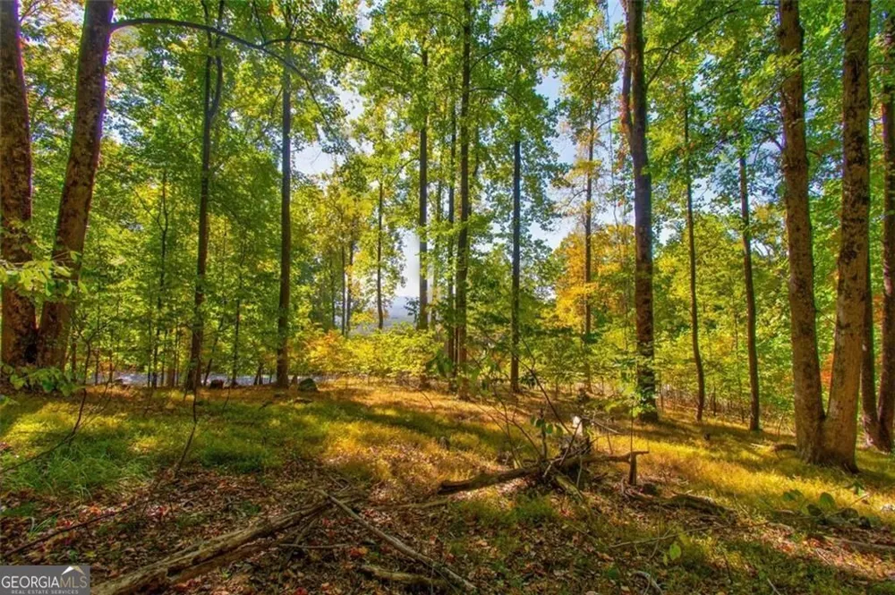 228 Stone Cliff TRCE Cleveland, GA 30528