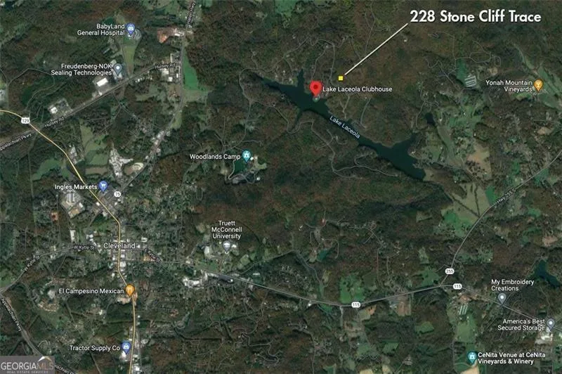 228 Stone Cliff TRCE Cleveland, GA 30528