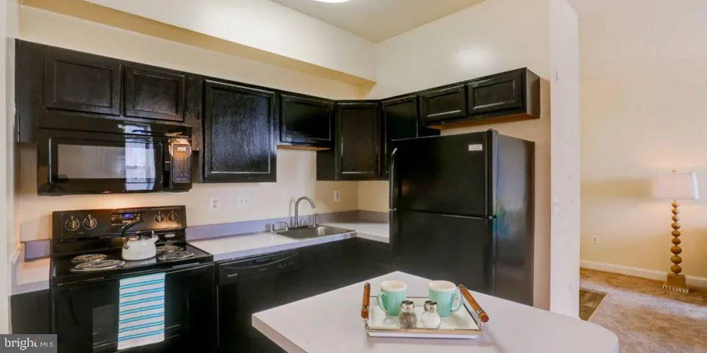 1123 EUTAW STREET #2BR Baltimore, MD 21201