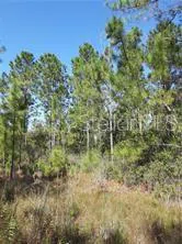 SALYERS ROAD Clermont, FL 34714