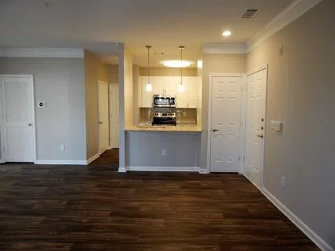 6210 Peachtree Dunwoody Road #0451 Sandy Springs, GA 30328
