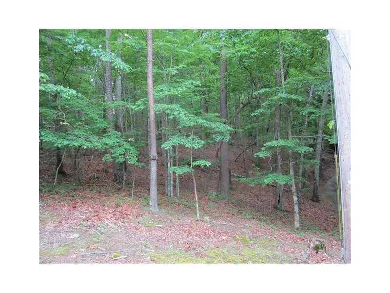 149 Morse Elm Court Waleska, GA 30183
