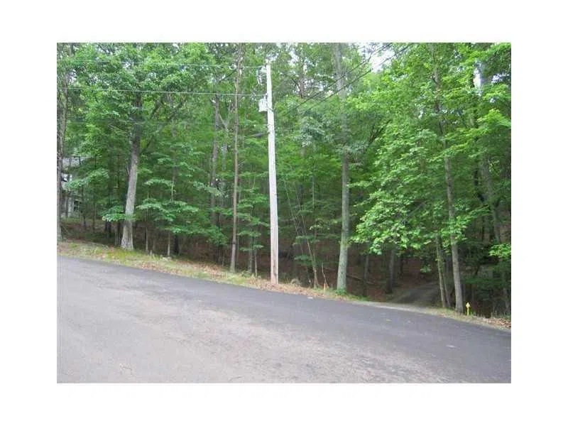 149 Morse Elm Court Waleska, GA 30183